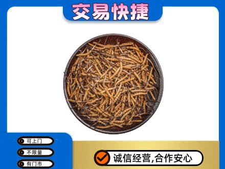 荆州礼品回收虫草.jpg