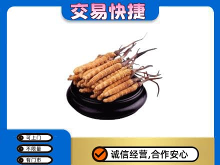 荆州礼品回收散虫草.jpg